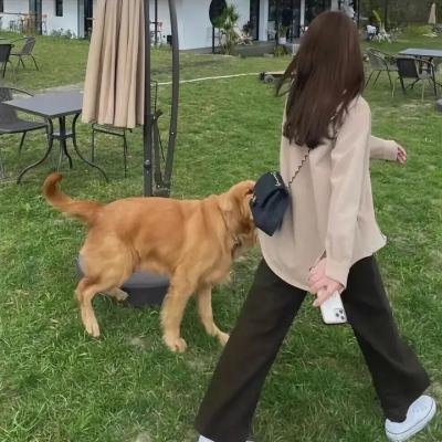圆圆的故事